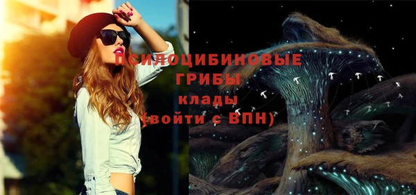 МДПВ Володарск