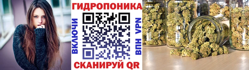 где можно купить наркотик  Чернушка  МАРИХУАНА сатива 